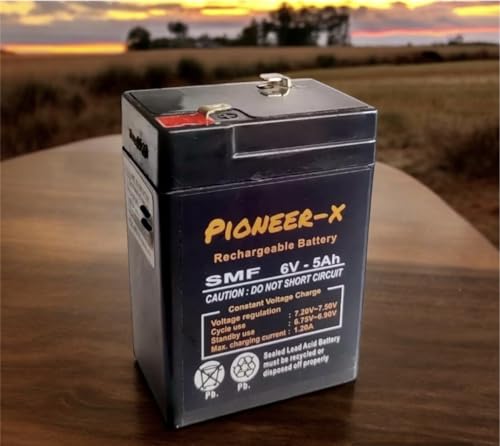 Best Battery for Toyota Tundra